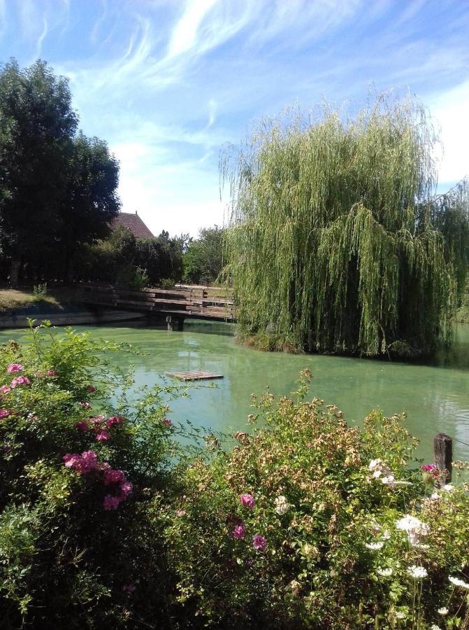Ferme Bressane Les Arums Mervans Εξωτερικό φωτογραφία